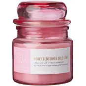 Doftljus Pop Rosa