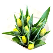 ICA Tulpaner 9 pack i gula toner