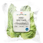 Minispetskål 300g Klass 1 ICA