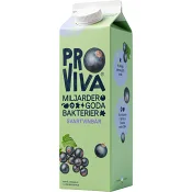 Fruktdryck Svartvinbär 1l Proviva