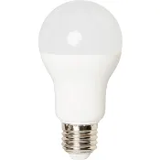 LED Normal E27 1521lm(100W) ICA