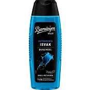 Duschgel ISVAK 250ml Barnängen Man