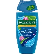 Duschgel Wellness Massage 250ml Palmolive