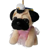 Studentmops med klänning Festive