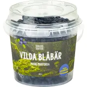 Blåbär färska 300g Klass 1