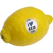 Citron Eko 1-pack Klass 1 ICA I love eco