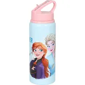 Vattenflaska 73cl Frozen