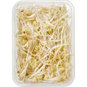 Böngroddar Ekologiska 180g KRAV Klass 1