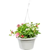 Sommarampel 20 cm