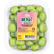 Nergi Kiwibär JTFR Klass 1 ICA