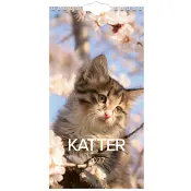 VäggKalender Lilla Katt 2027
