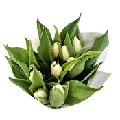 ICA Tulpaner 9 pack vit.