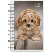 Kalender 26/27 Compact Pets