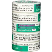 ZYN Cactus Spice Slim S4 5xStock