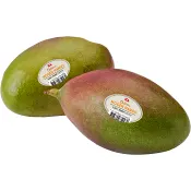 Mogen Mango Osteen Klass 1 ICA