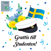 Servett 33 cm student ICA