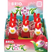 Rose 1-p BRIO Flora