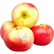 Äpple Discovery 4-pack Klass 1 ICA