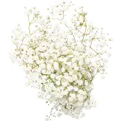 Brudslöja 3-p 50cm vit    