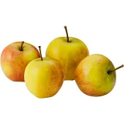 Äpple Cox Orange 4 pack Klass 1 ICA