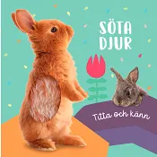 Titta och känn : Söta djur