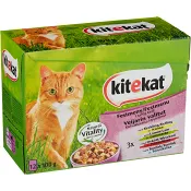 Kattmat Kött fågel & fisk i gelé 12-p 1,2kg Kitekat