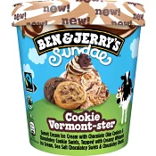 Cookie Vermont 427ml Ben & Jerrys