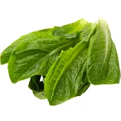 Romansallat 200g Eko