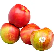 Äpple Gravenstein 4 pack Klass 2 ICA