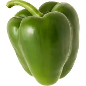Paprika grön 1 pack Klass 1 ICA