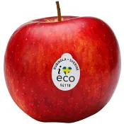 Äpple Rubinola Ekologisk 4-pack ICA Klass 1