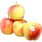 Äpple Saga 4-pack Klass 2 ICA