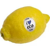 Citron 1-p Klass 1 ICA I love eco
