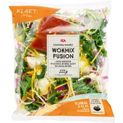 Wokmix Fusion 335g ICA