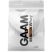 Proteinpulver Whey 100% Chocolate Dream 1kg GAAM