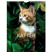 Väggkalender katter 2024