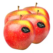 Äpple Magic Star 4-pack Klass1 ICA