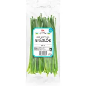 Gräslök flowpack 20g Klass 1 ICA