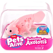 Axolotl Pets Alive