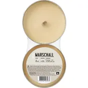 Marschall silver 2p ICA