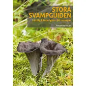 Stora svampguiden