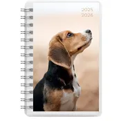 Kalender 25/26 Compact Pets 4i1