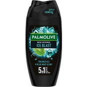 Duschtvål Cool Splash 250ml Palmolive