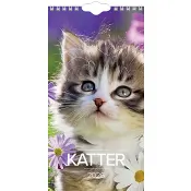 VäggKalender Lilla Katt 2026