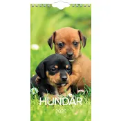 VäggKalender Lilla Hund 2026