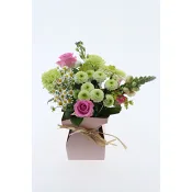 Arrangemang Snitt Morsdag