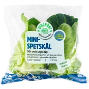 Minispetskål 300g Klass 1