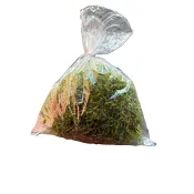 Grönmossa 100g SE x30