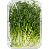 Gröna ärtskott 100g KRAV Klass 1