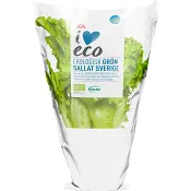 Grön kruksallat Ekologisk 1-p KRAV Klass 1 ICA